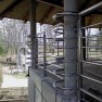prohrom-szr